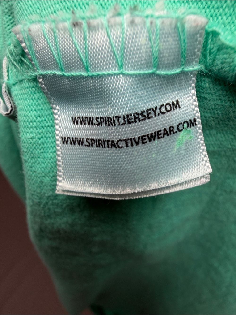 Disney Disneyland Resort Long Sleeve Sweatshirt - Teal & White - Picture 7 of 7